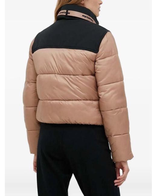 INVICTA WATCH Black Colour-Block Puffer Jacket