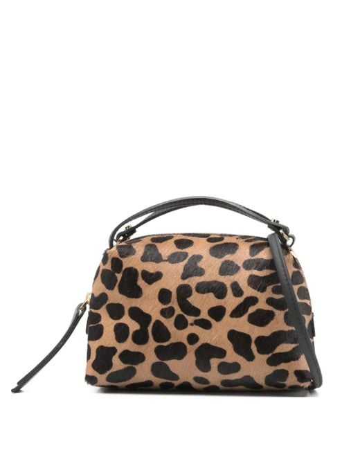 Gianni Chiarini Black Alifa Tote Bag Mit Leoparden-Print
