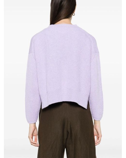Allude Purple Crew-neck Ribbed-knit Jumper