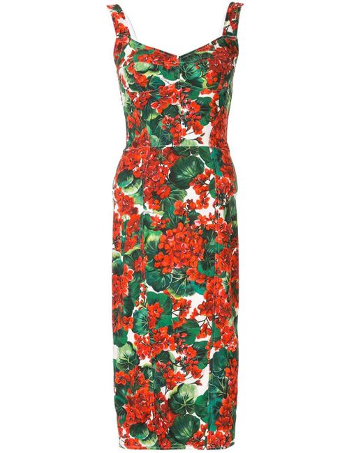 Dolce & Gabbana Red Geranium-print Pannelled Midi Dress
