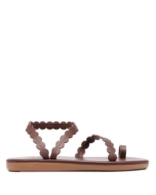 Ancient Greek Sandals Brown Multi-Strap Leather Sandals