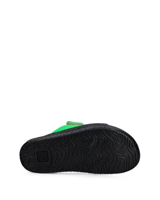 Veja Green Etna Bold Absinth