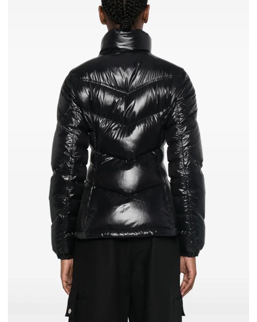 Moncler Gast Jack in het Black