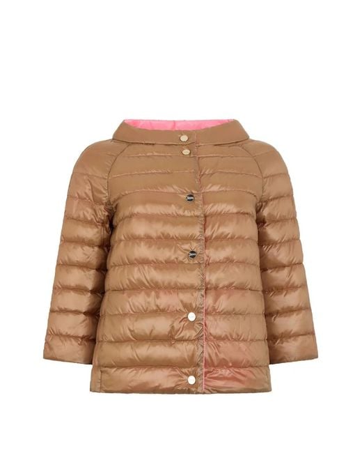 Chaqueta Acolchada Con Botones Herno de color Brown