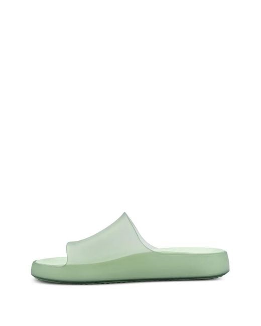 Melissa Green Slides