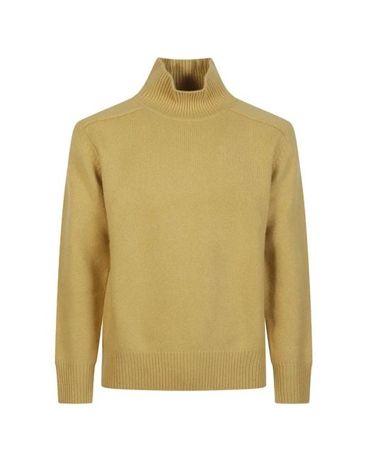 Soft Goat Green Turtleneck Sweater for men