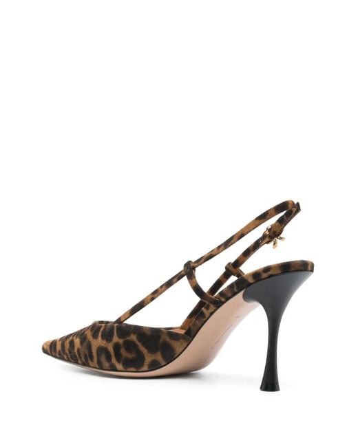 Gianvito Rossi Brown Ascent 85