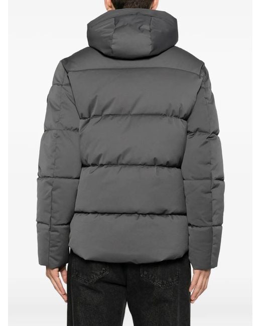 SERGIO MORETTI FIRENZE Gray Logo-Patch Padded Jacket for men