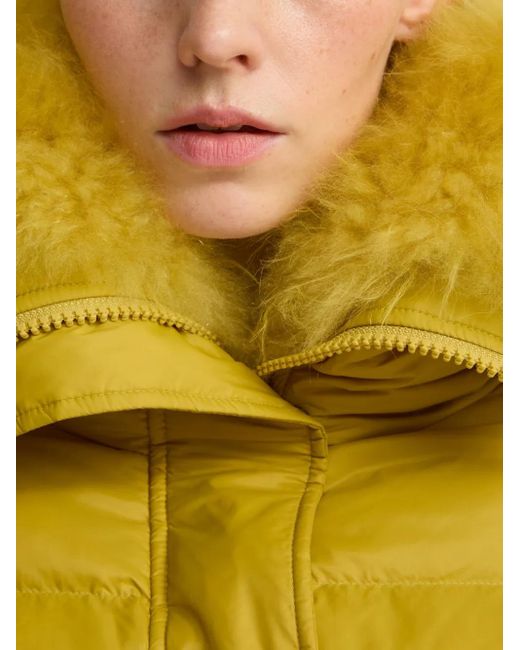Yves Salomon Donsjack in het Yellow