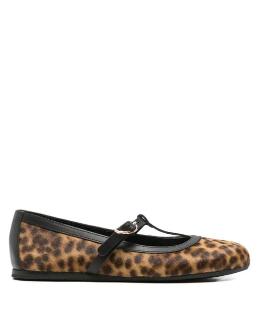 Ancient Greek Sandals Brown Aerati Leopard-Print Ballet Flats