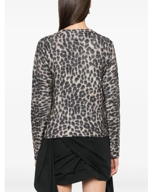 Blumarine Black Leopard-Print Cardigan