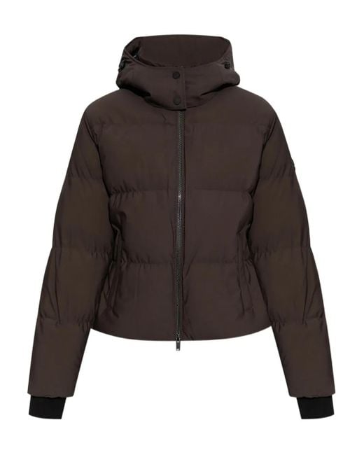 Moose Knuckles Donsjack Met Capuchon in het Brown