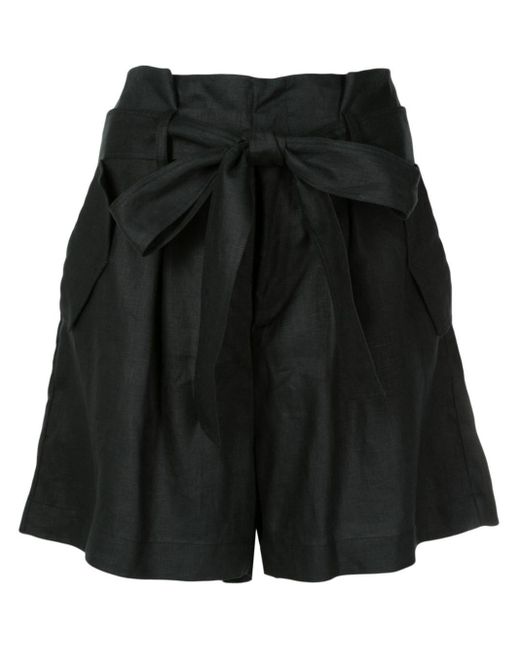 Adriana Degreas Orquidea Shorts Met Paperbag Taille in het Black