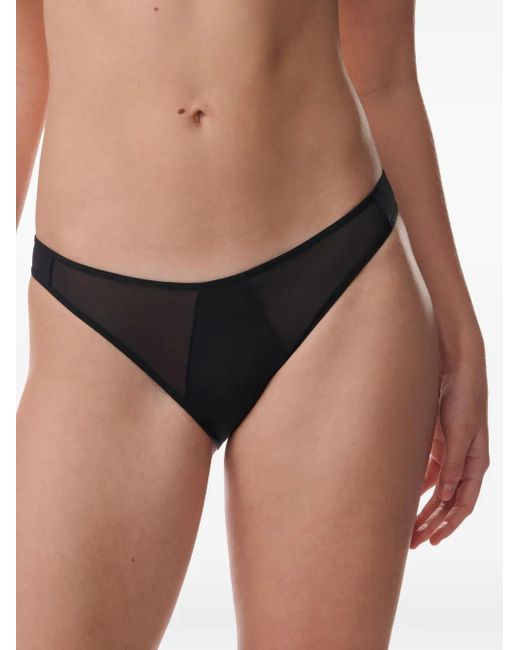 Wolford Black Sheer-Panelled Briefs