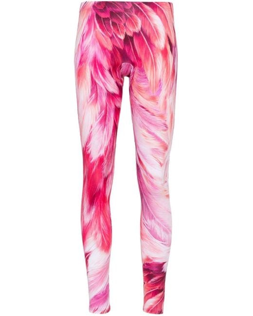 Roberto Cavalli Pink Plumage-print leggings