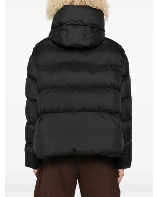 Pinko Black Outerwears