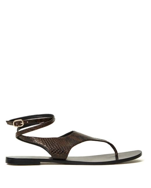 Twinset Brown Snakeskin-Effect Flat Sandals