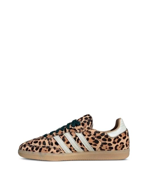 Adidas Brown Leopardi Sneakers