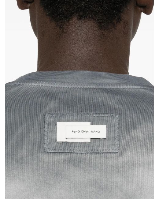 Feng Chen Wang Gray Long-Sleeve T-Shirt