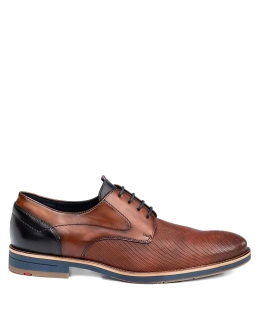 Lloyd Brown Harris Perforated Leather Derby Shoes for men