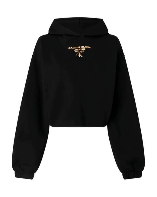 Calvin Klein Hoodie Met Logoprint in het Black