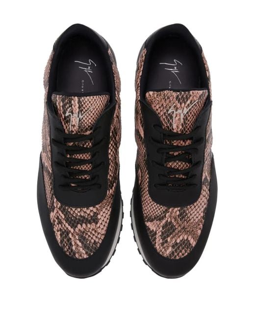 Giuseppe Zanotti Brown Jimi Running Sneakers