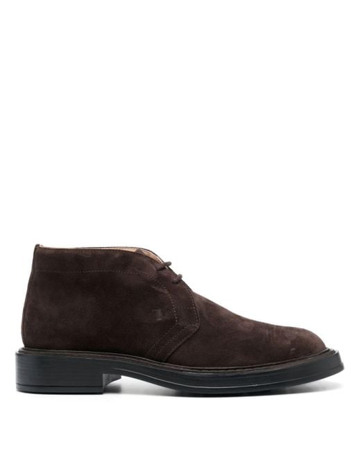 Tods mens chukka boots sale