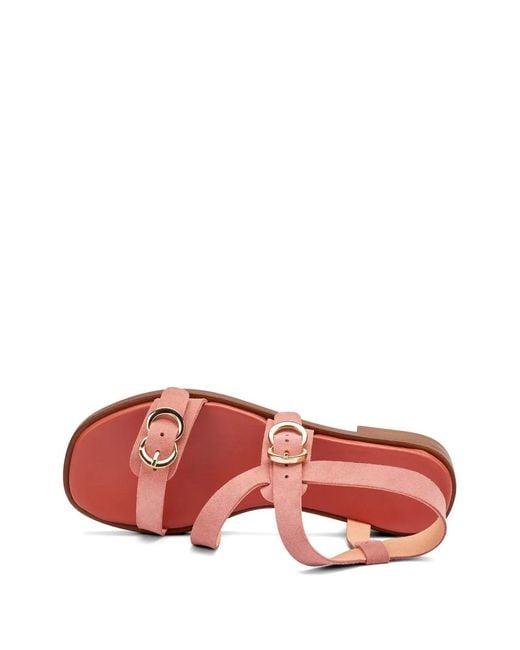 Frau Pink Suede Multi-Strap Sandals
