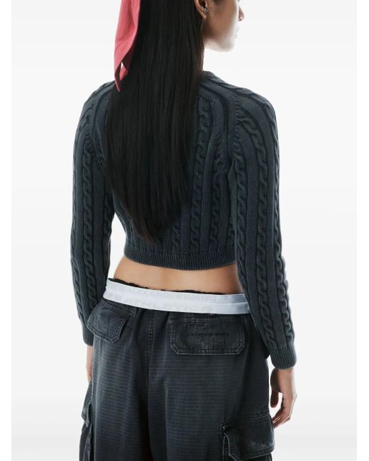 Alexander Wang Blue Straight Cargo Pants