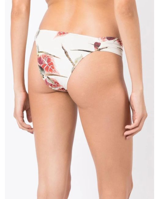 Clube Bossa Natural Percy Floral-Print Bikini Bottoms