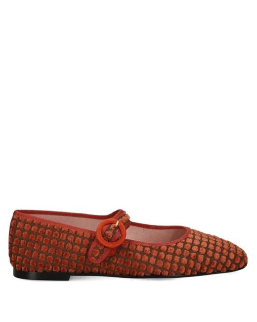 Pretty Ballerinas Brown Georgia Buckle-Detail Ballet Flats