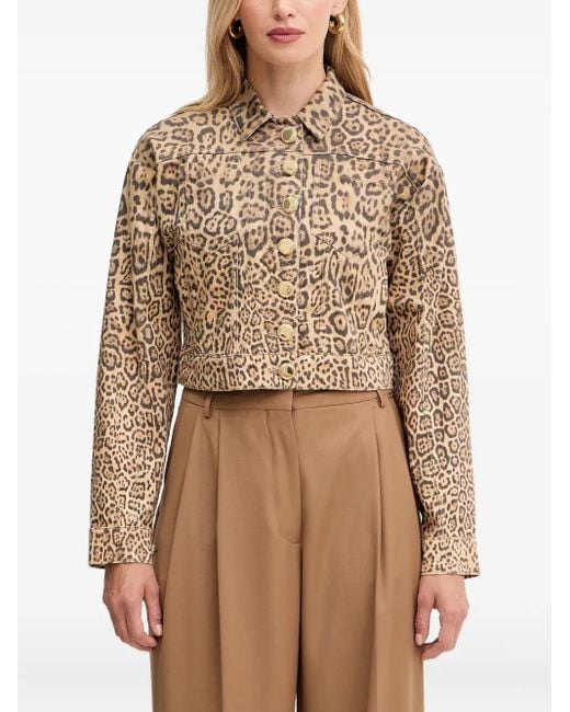 MARCIANO BY GUESS Brown Leopard-Print Button Denim Jacket
