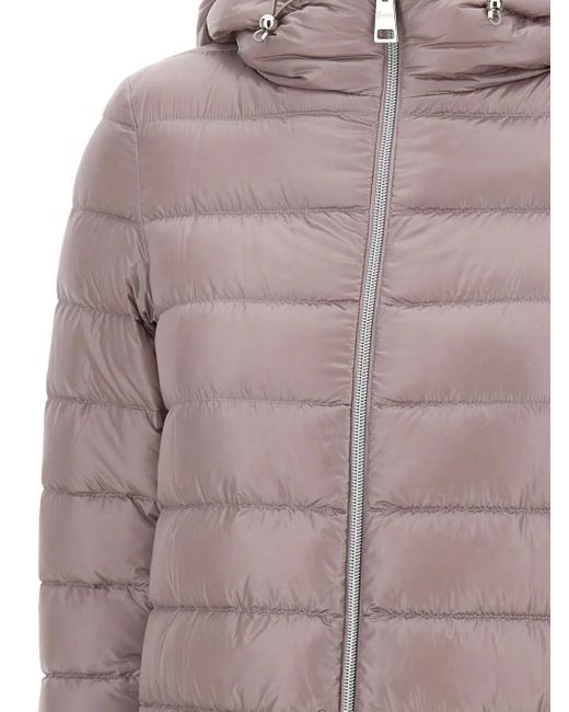 Herno Purple Gesteppte Daunenjacke Mit Kapuze