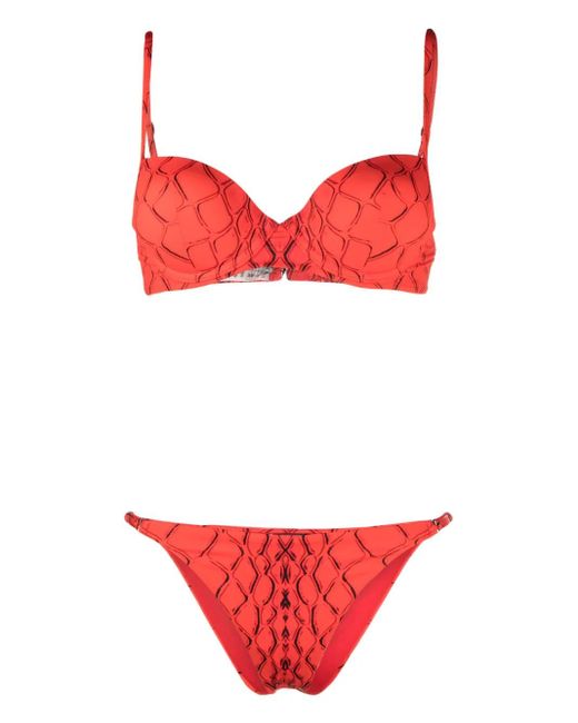 Noire Swimwear Red Abstract-Print Bikini Set