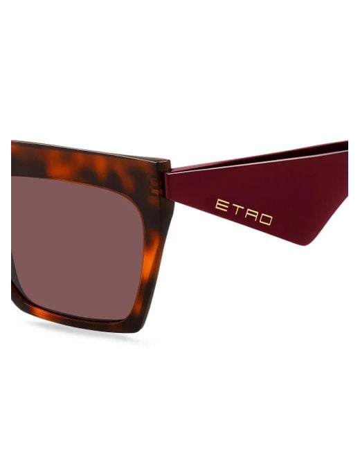 Etro Brown Tailoring Cat-Eye Sunglasses