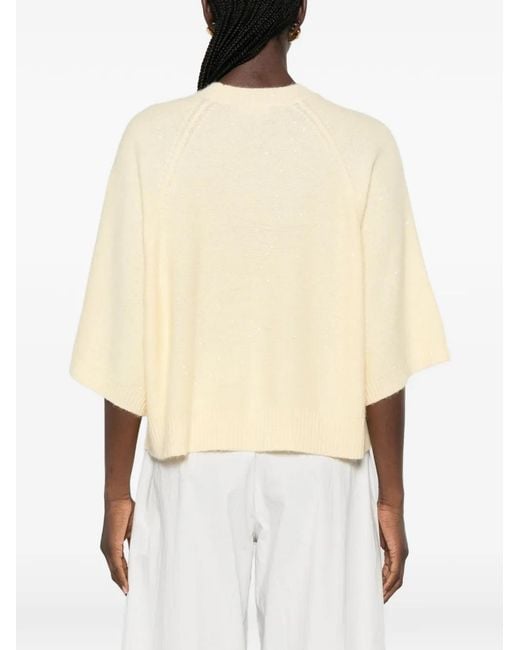 Fabiana Filippi Natural Sequin-Embellished Raglan-Sleeve Sweater