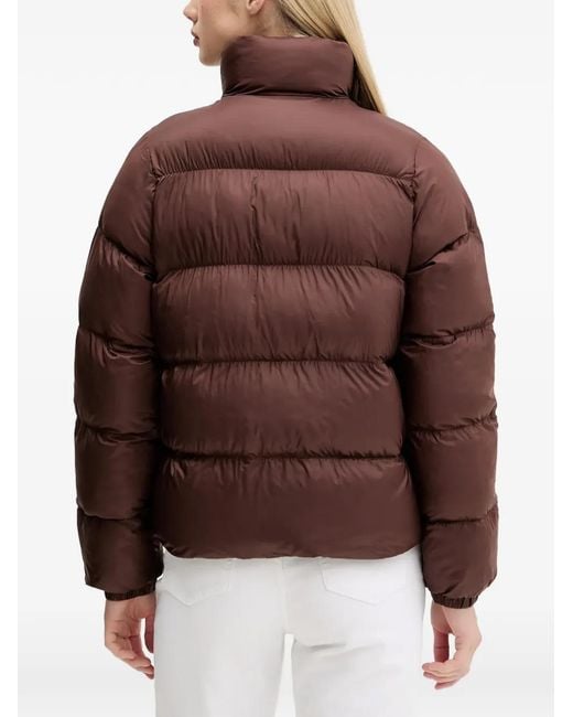 Adidas Brown Zip-Up Puffer Jacket