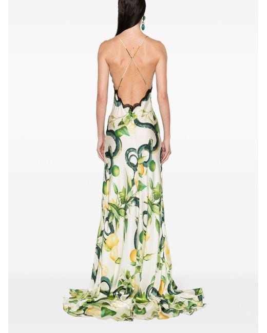 Roberto Cavalli Green Lemon-print Silk Maxi Dress