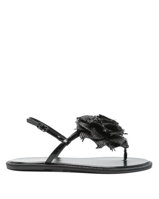 Le Silla Black Floral-Appliqué Sandals