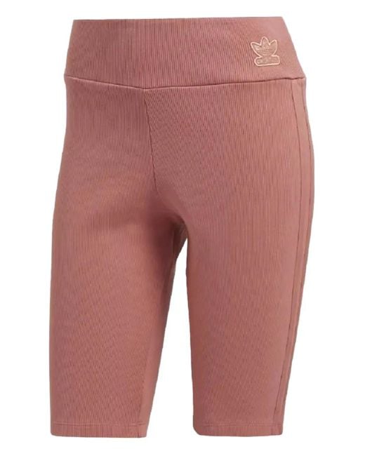 Shorts Da Ciclismo Stadium A Coste di Adidas in Red