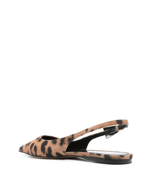 Paris Texas Brown Flat Shoes