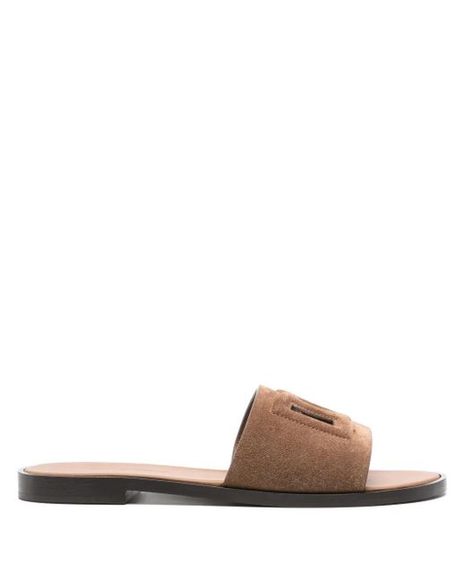 Dolce & Gabbana Brown Dg Suede Slides