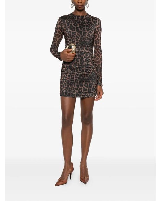 Aniye By Black Leopard-Print Mesh Mini Dress