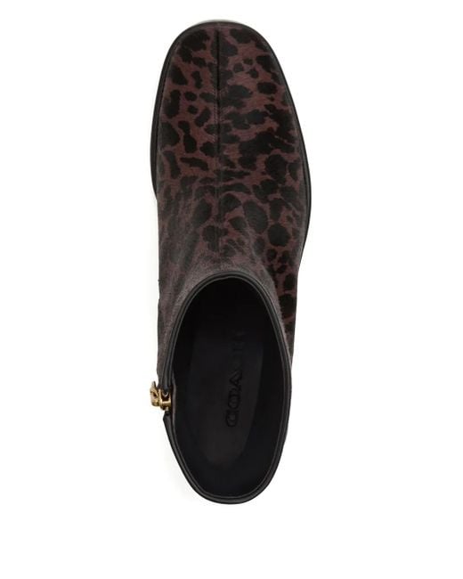 COACH Black Leopard-Print Ankle Boots