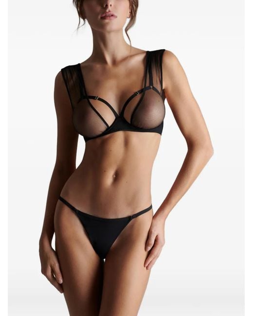 Scandale Black Nuit Fauve Mesh-Panel Bra
