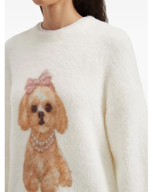 Pull À Imprimé Chien B+ AB en coloris White