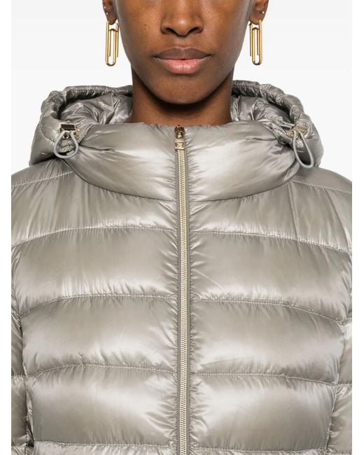 Herno Donsjack Met Capuchon in het Gray