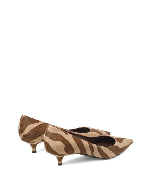 Jimmy Choo Amelia Pumps Met Zebraprint in het Brown