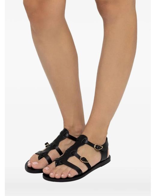 Ancient Greek Sandals Black Grace Kelly Sandals