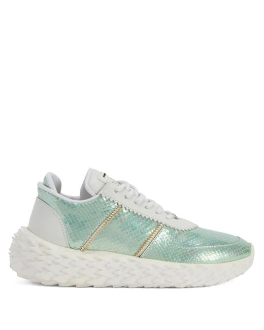 Giuseppe Zanotti Green Urchin Snakeskin-Effect Lace-Up Sneakers
